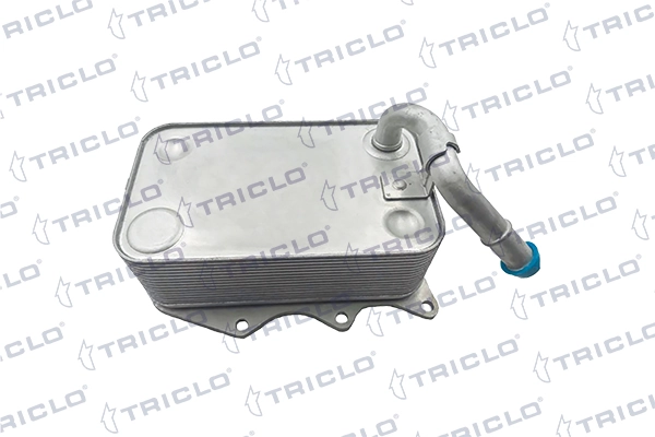 413232 Triclo