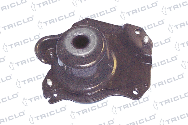 363916 Triclo