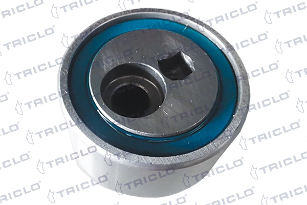  Rolo de reguladora de tensão da correia de transmissão Citroen Jumper сaixa (244) (2002 - 2006) 