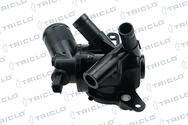 Termostato 110617250R Renault (RVI)