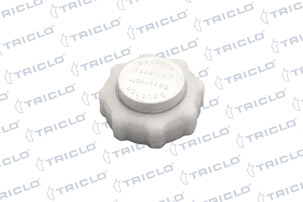 Tampa (tampão) do tanque de expansão para Renault Trucks Mascott  HH