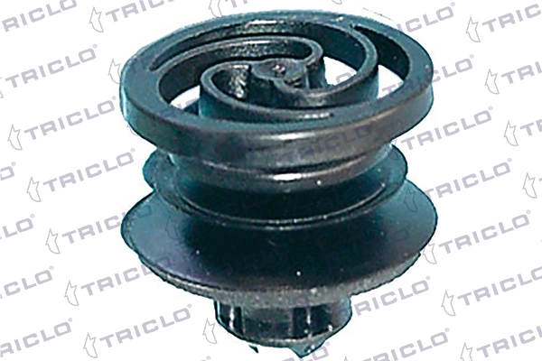 162946 Triclo