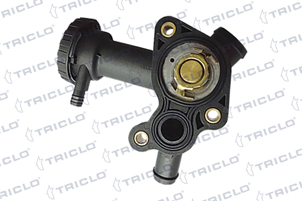 463316 Triclo
