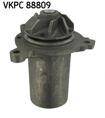 VKPC88809 SKF