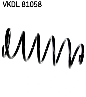 VKDL81058 SKF