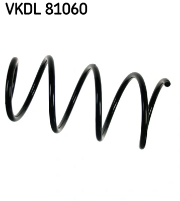 VKDL81060 SKF