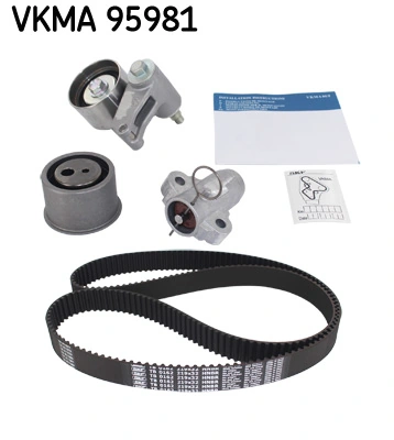 VKMA95981 SKF