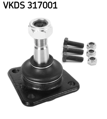 VKDS317001 SKF
