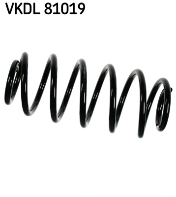VKDL81019 SKF