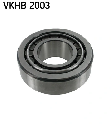Rolamento interno de cubo traseiro Volvo 1699340