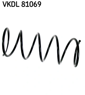VKDL81069 SKF