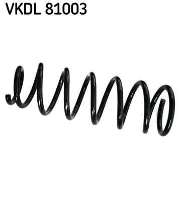 VKDL81003 SKF