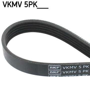 VKMV5PK1199 SKF