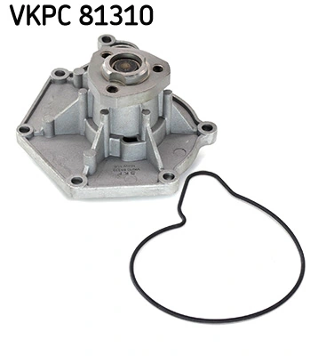 VKPC81310 SKF