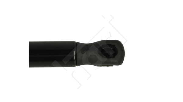  Amortecedor de tampa de porta-malas (de 3ª/5ª porta traseira) Audi A8 D3 sedan (4E2, 4E8) (2002 - 2010) D3