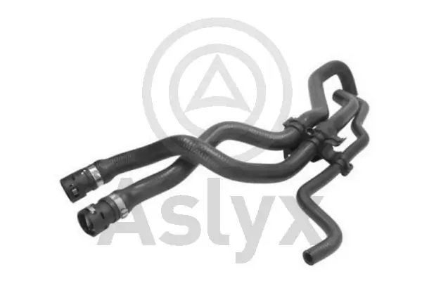 AS203911 Aslyx