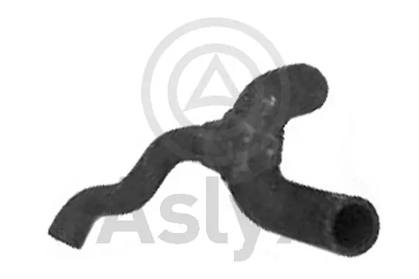 AS203683 Aslyx