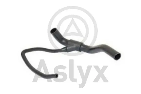 AS203934 Aslyx