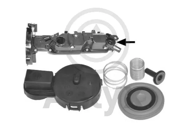 Comprar  Partner III K9