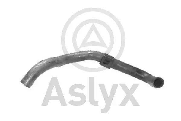 AS203946 Aslyx
