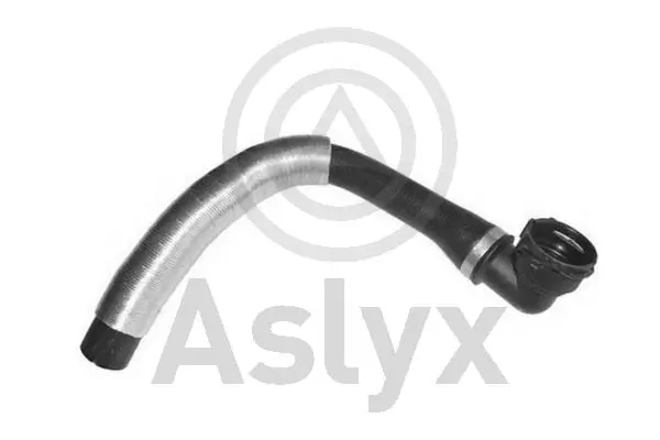 AS509829 Aslyx