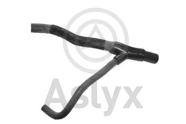 AS203994 Aslyx