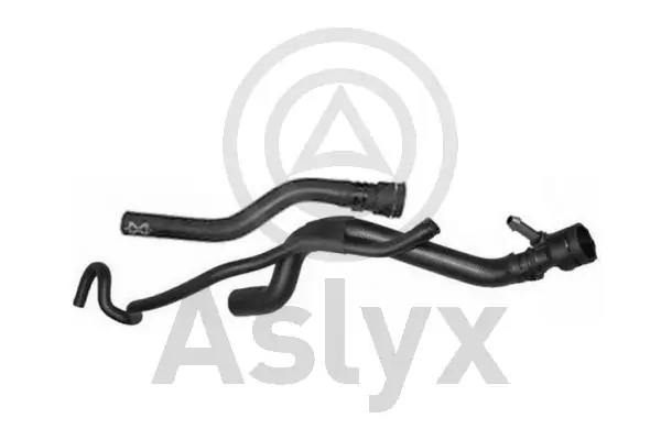 AS509973 Aslyx