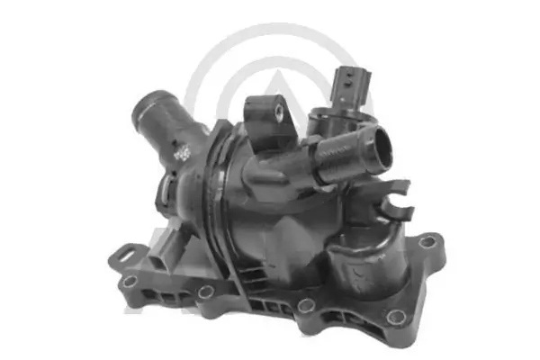Comprar  Terrano III D10