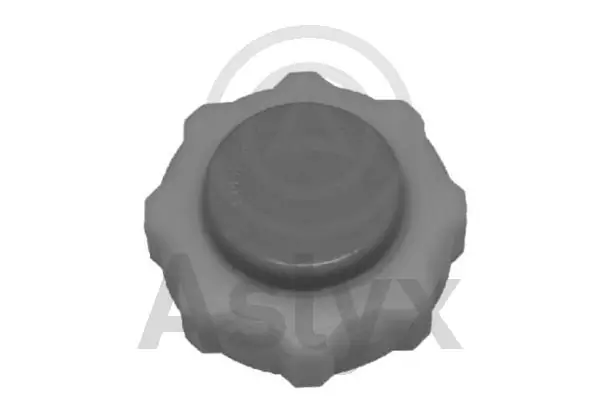  Mascott  camião de plataforma/chassis (1999-2010) original desde 3,53 €