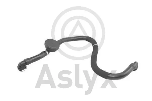 Cano derivado de ventilação de cárter (de separador de óleo) Renault Scenic II JM0, JM1 ao melhor preço
