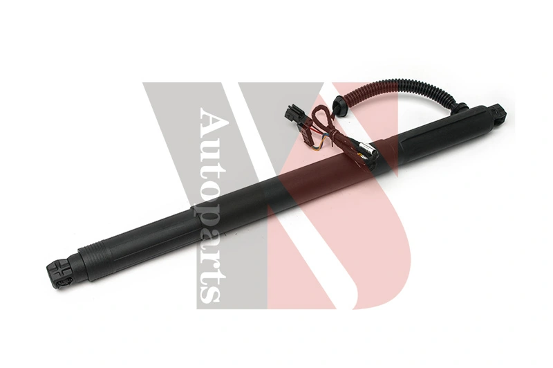 Amortecedor de tampa de porta-malas (de 3ª/5ª porta traseira) BMW X6  E72