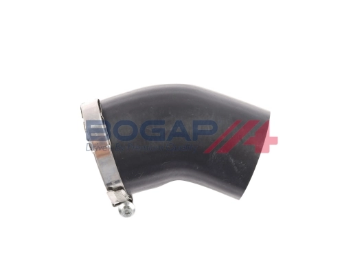 A1711174 Bogap