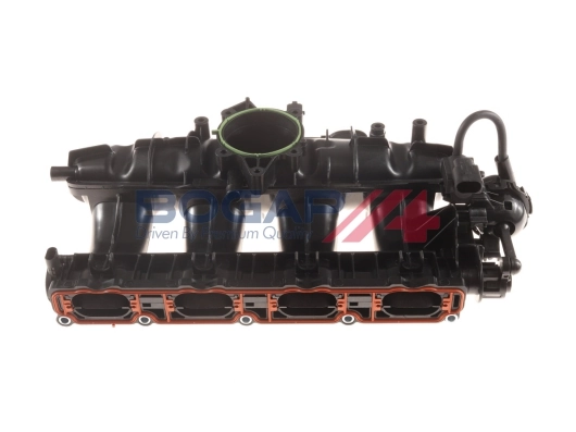 A1712112 Bogap