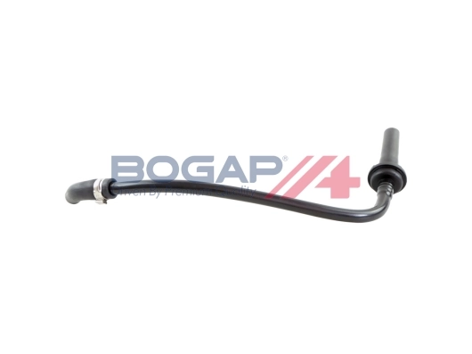 C1213100 Bogap