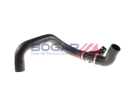 C1711159 Bogap