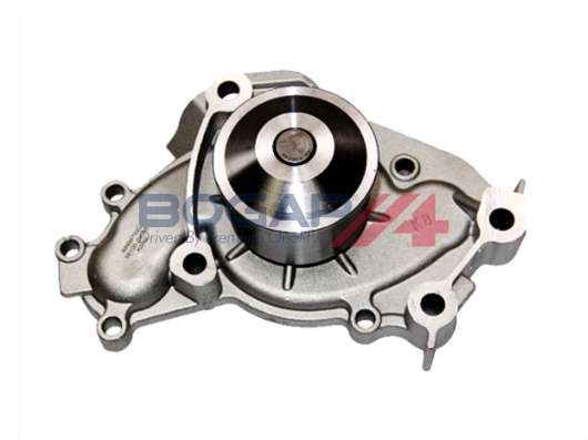 T4234100 Bogap