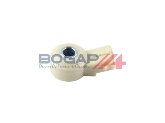 C6113100 Bogap