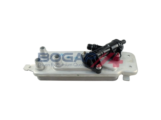 B4223101 Bogap