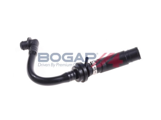A1912123 Bogap