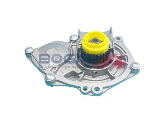 A4234100 Bogap