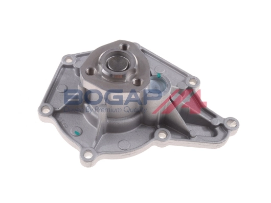 A4234134 Bogap