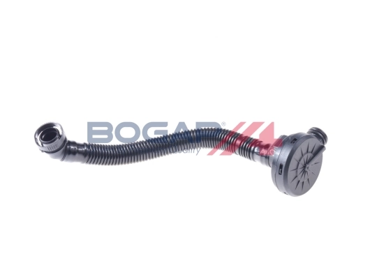 A1211135 Bogap