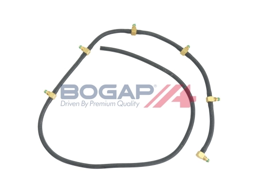 C1621101 Bogap