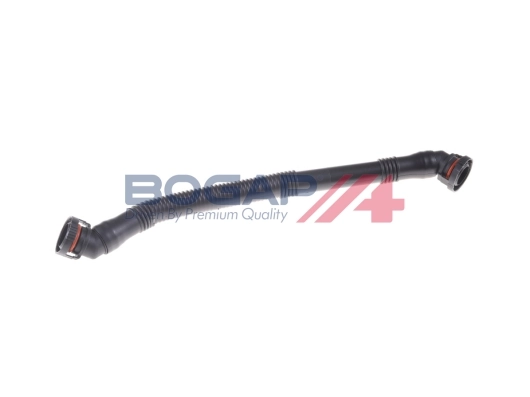 B1210118 Bogap