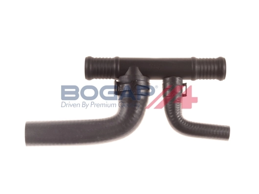 C4228122 Bogap