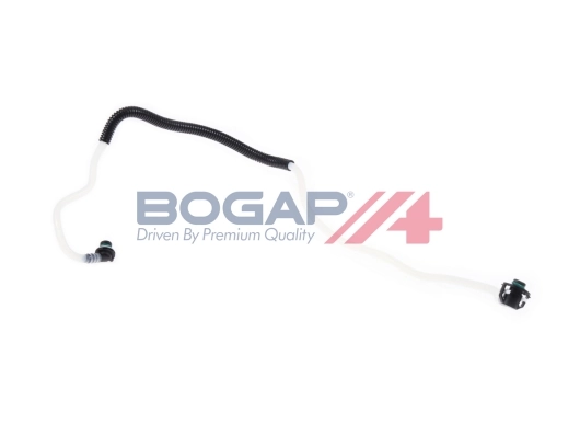 C1646115 Bogap