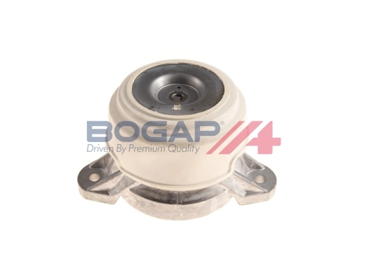 C1911107 Bogap