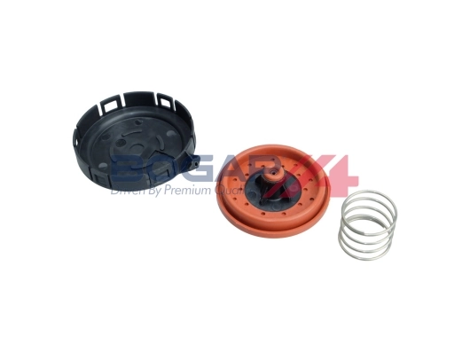 B1116100 Bogap