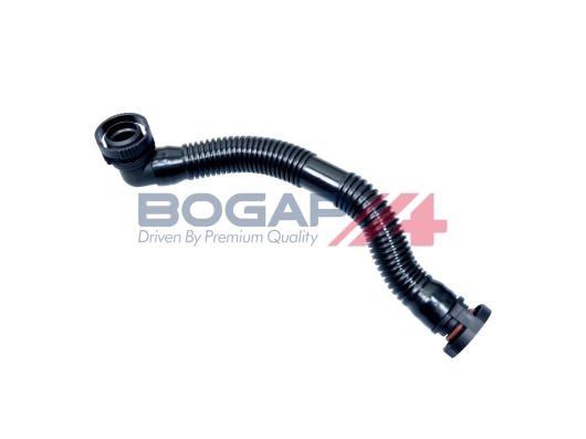 B1825101 Bogap