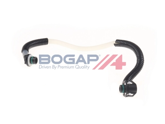C1646112 Bogap